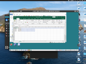 Screen grab of spreadsheet as seen from Team Viewer